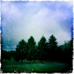Before the Storm