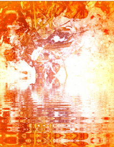 Reflections