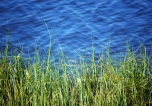 Blue and Green