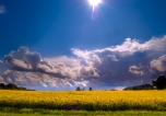 Sunshine on a Cloudy Day