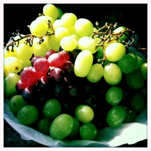 Today’s Green Juice Concoction