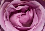 Imperfections