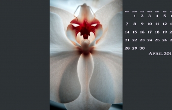 FREE April Desktop Calendar
