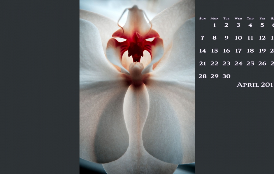 FREE April Desktop Calendar