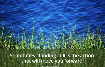 Standing Still to Move Forward
