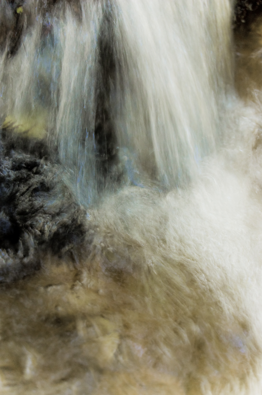 shapeshifter water print